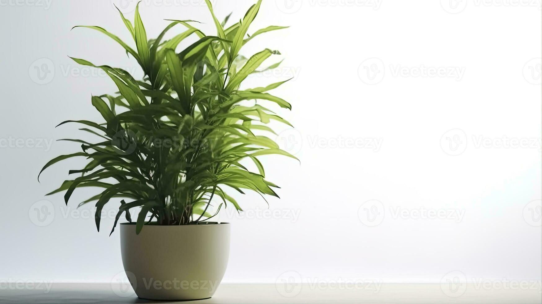 moderno ornamental plantas crecido en ollas lata ser usado como decoración interior o exterior, ai generativo foto