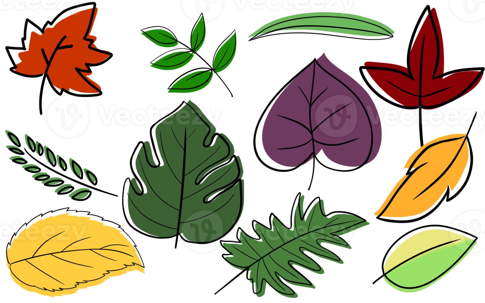 collection of leaves png
