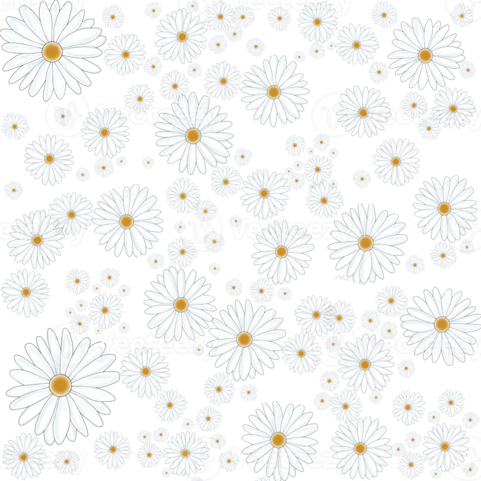 White flowers give a bright look. png