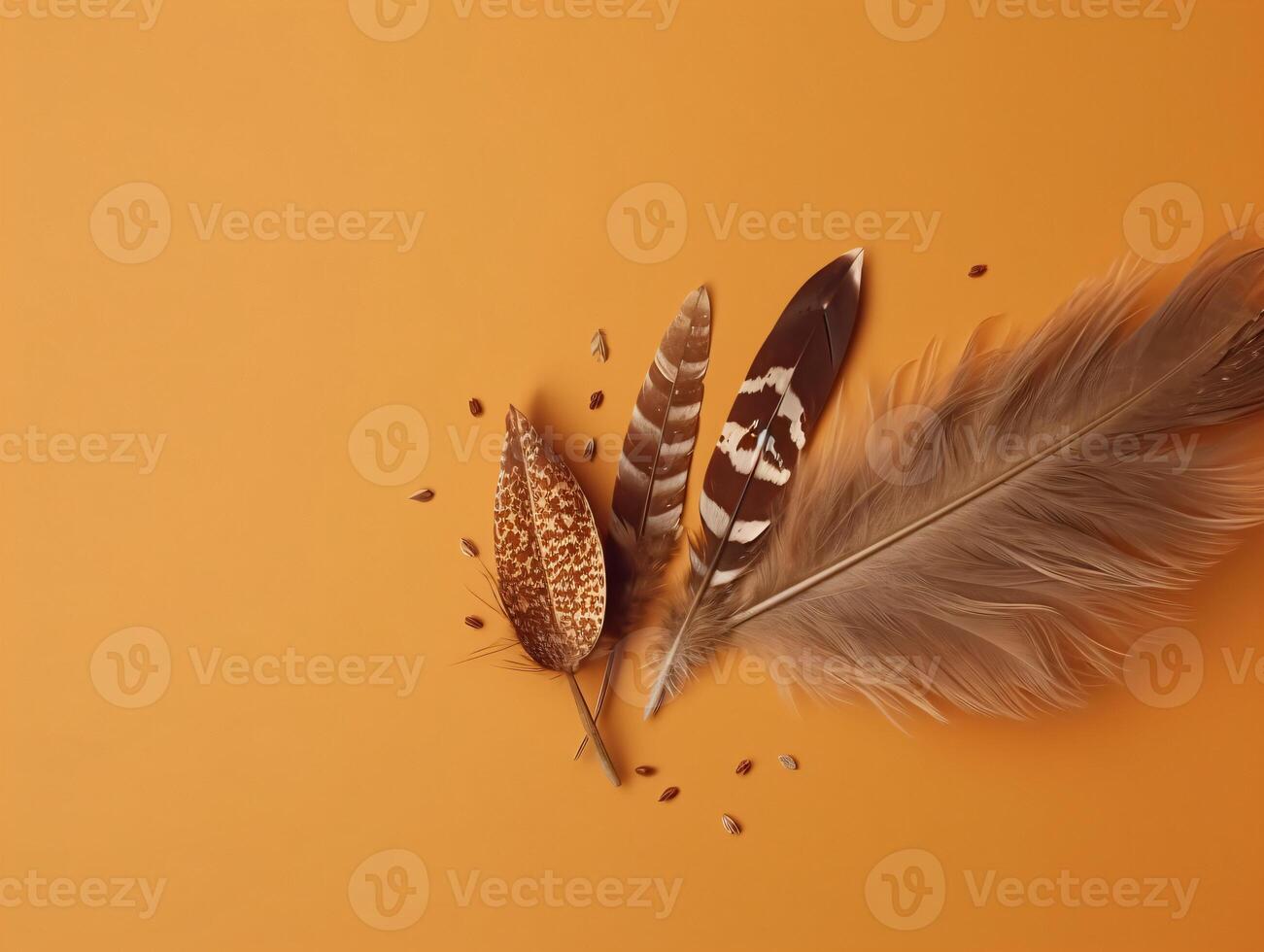 comercial minimalistic boho composition with copy space photo
