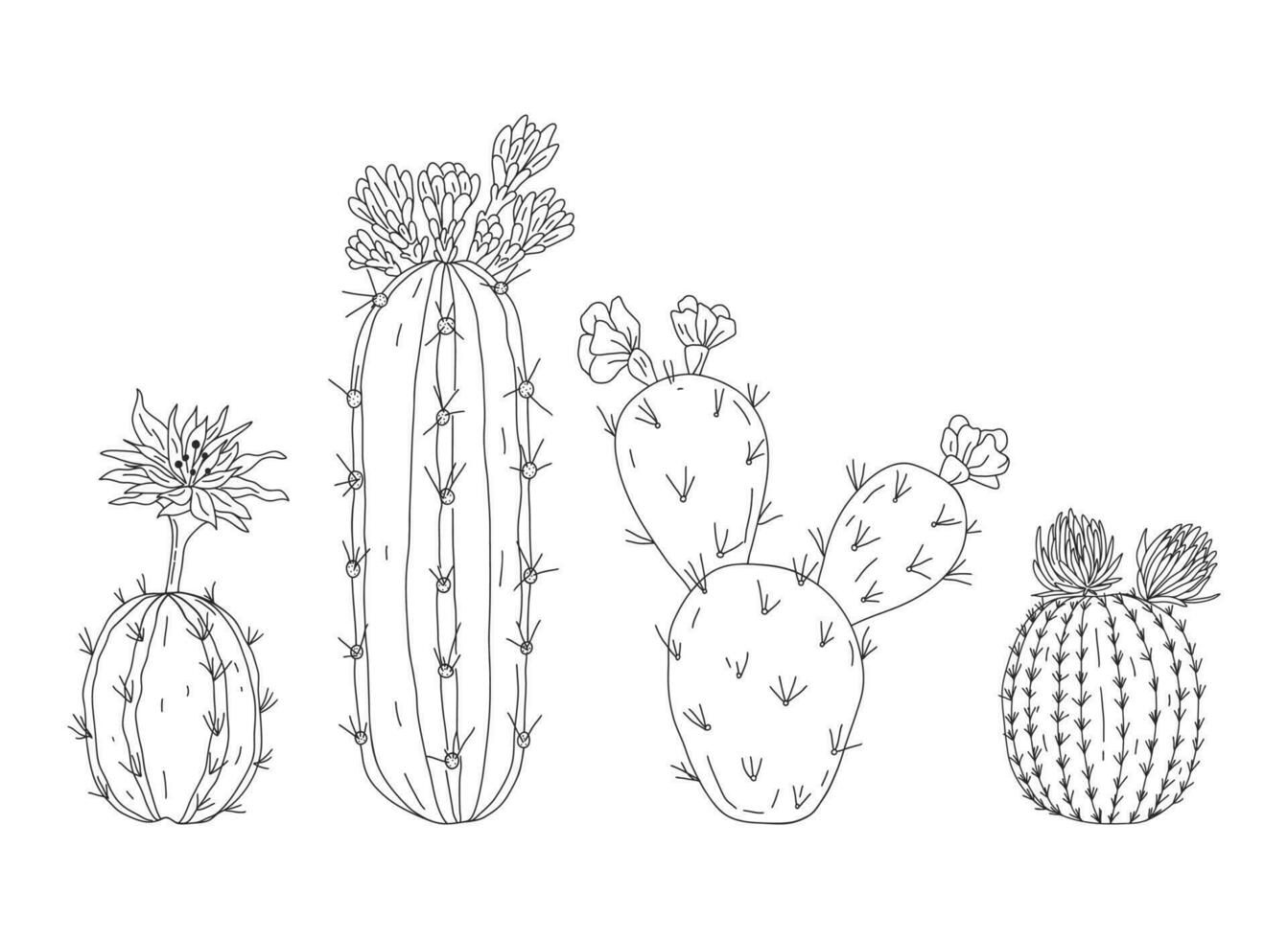 Hand drawn sketch style cactus set. Simple black and white plant illustration vector