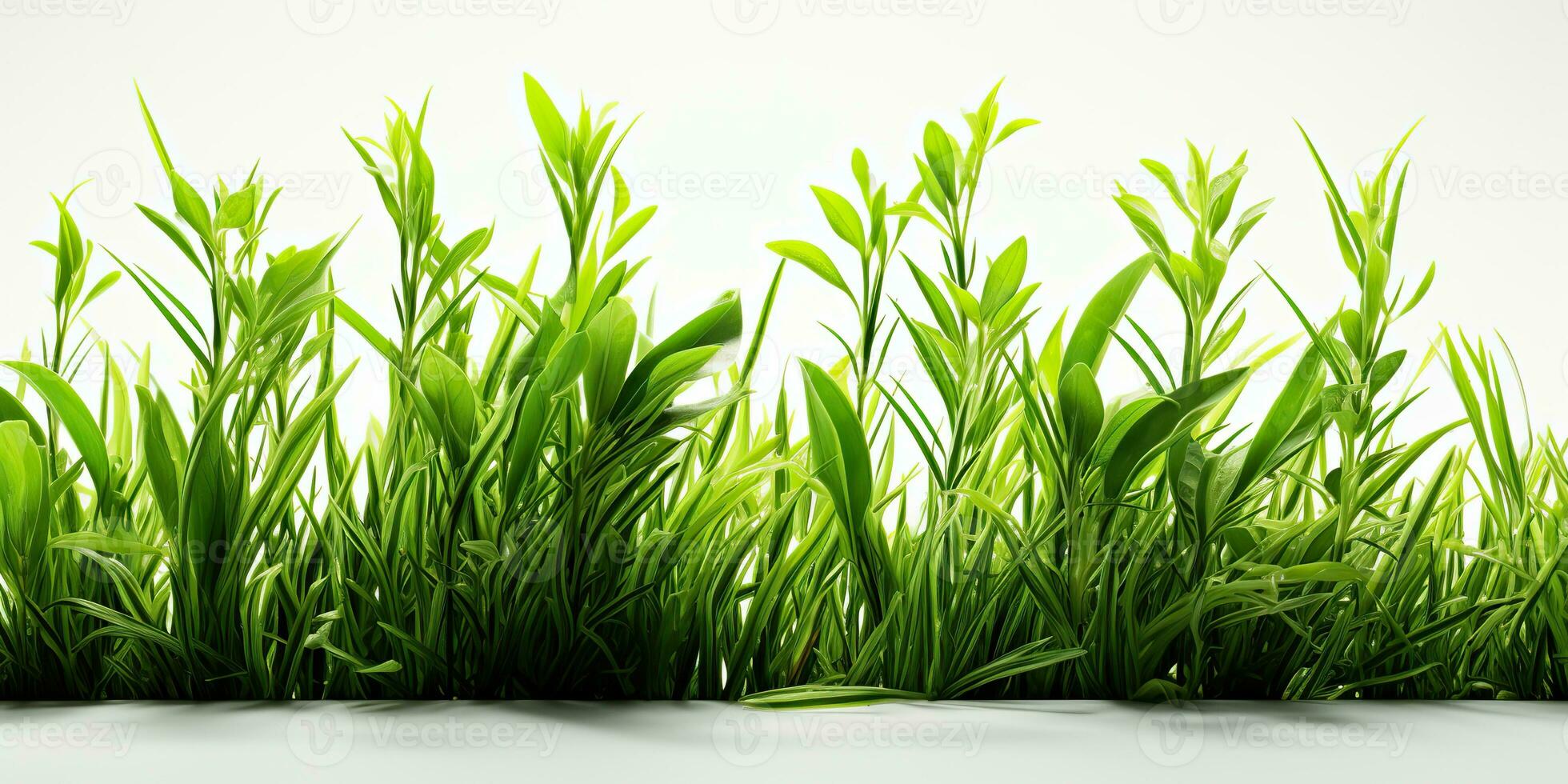 AI Generated. AI Generative. Nature outdoor wild green grass background. Plant field landscape. Graphic Art photo