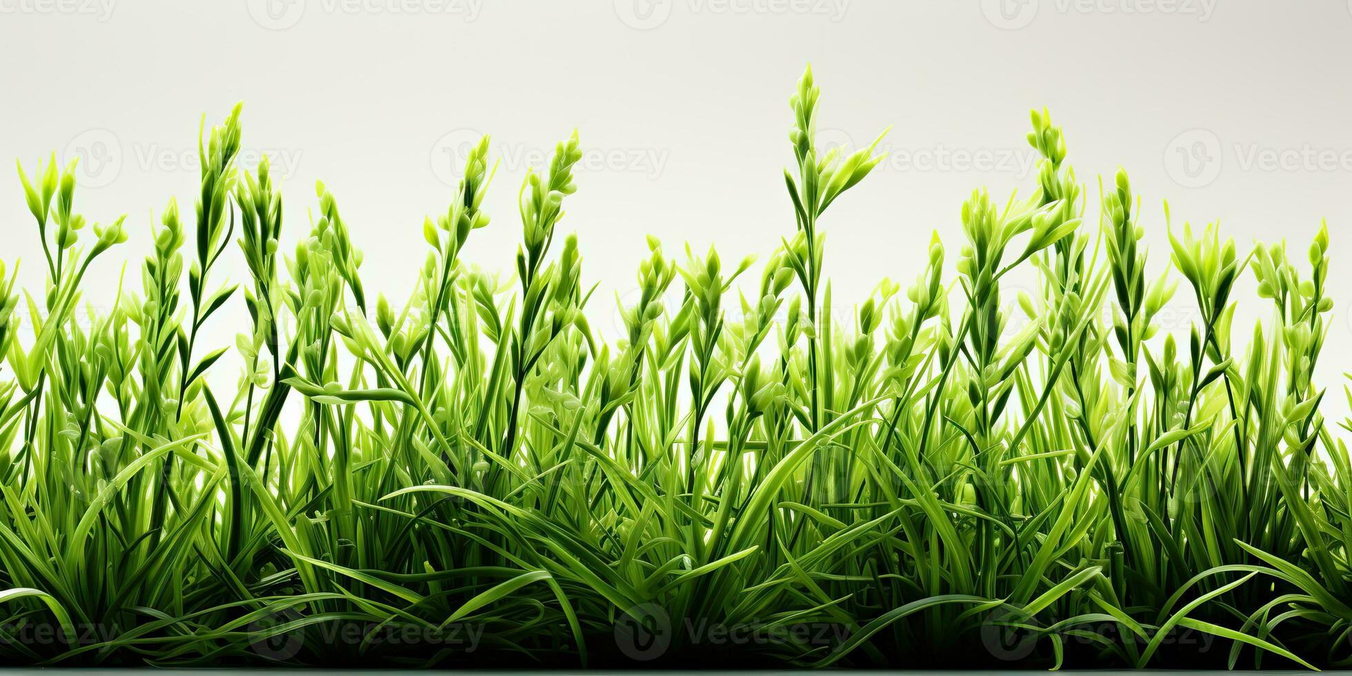 AI Generated. AI Generative. Nature outdoor wild green grass background. Plant field landscape. Graphic Art photo