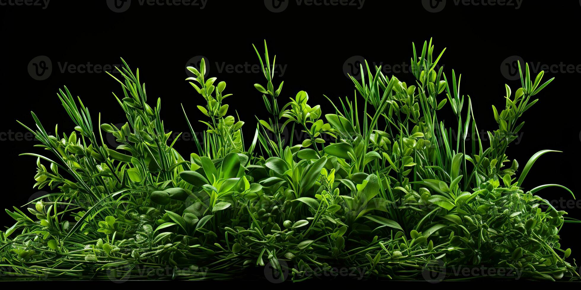 AI Generated. AI Generative. Nature outdoor wild green grass background. Plant field landscape. Graphic Art photo