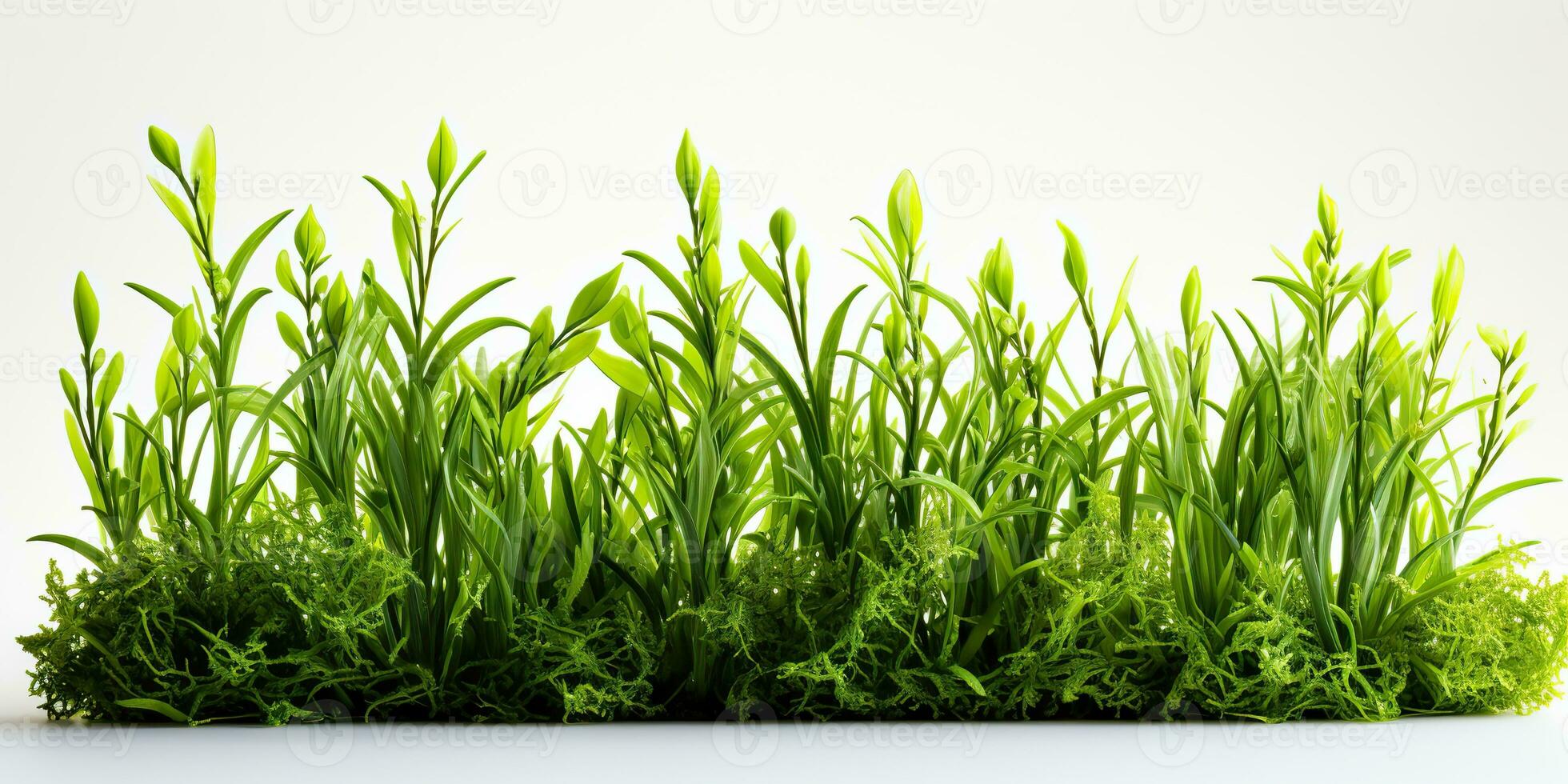 AI Generated. AI Generative. Nature outdoor wild green grass background. Plant field landscape. Graphic Art photo