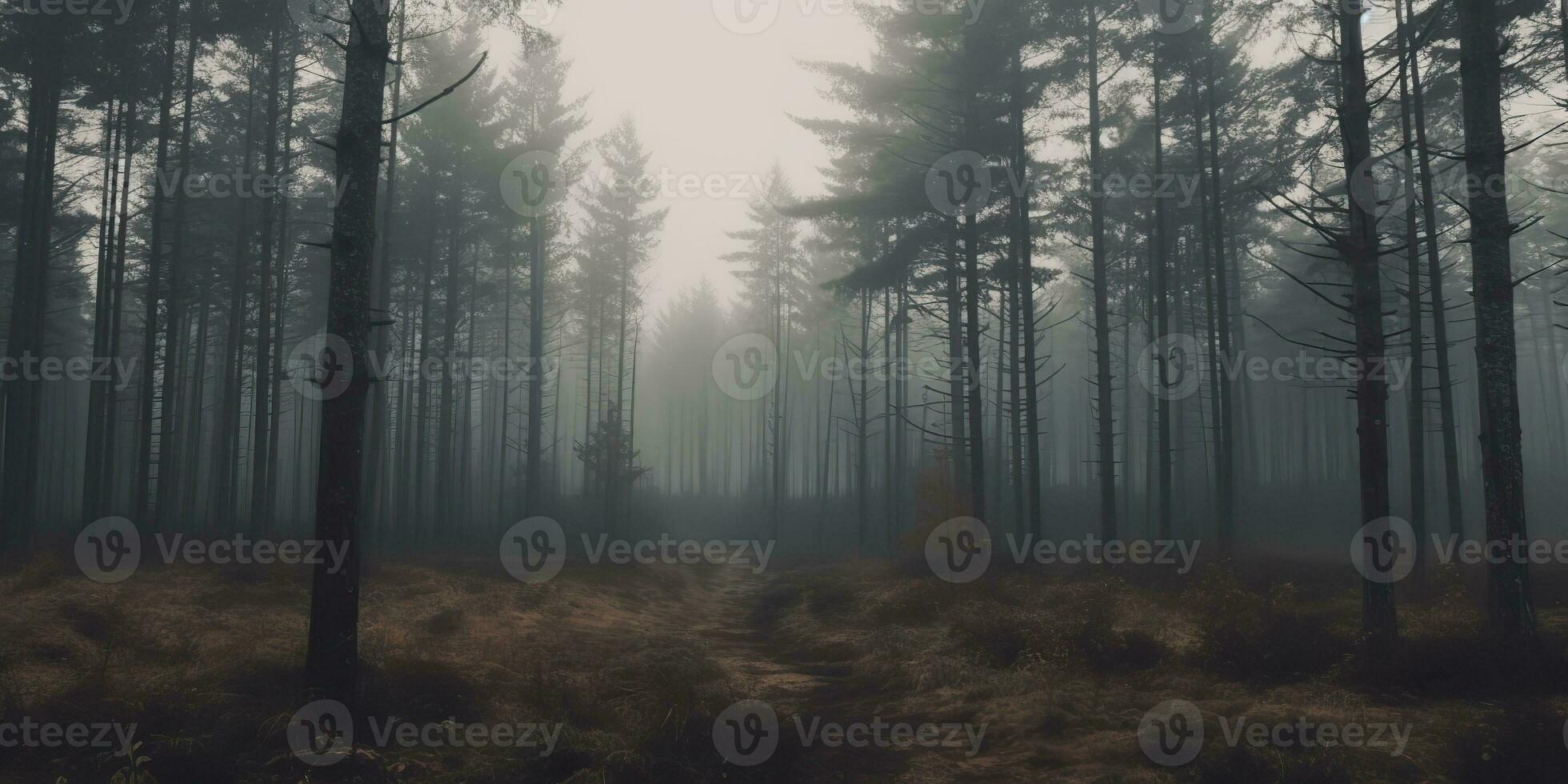 AI Generated. AI Generative. Mist magic fog night dark forest tree jungle landscape background. Scary nature outdoor adventure explore travel vibe style. Graphic Art photo