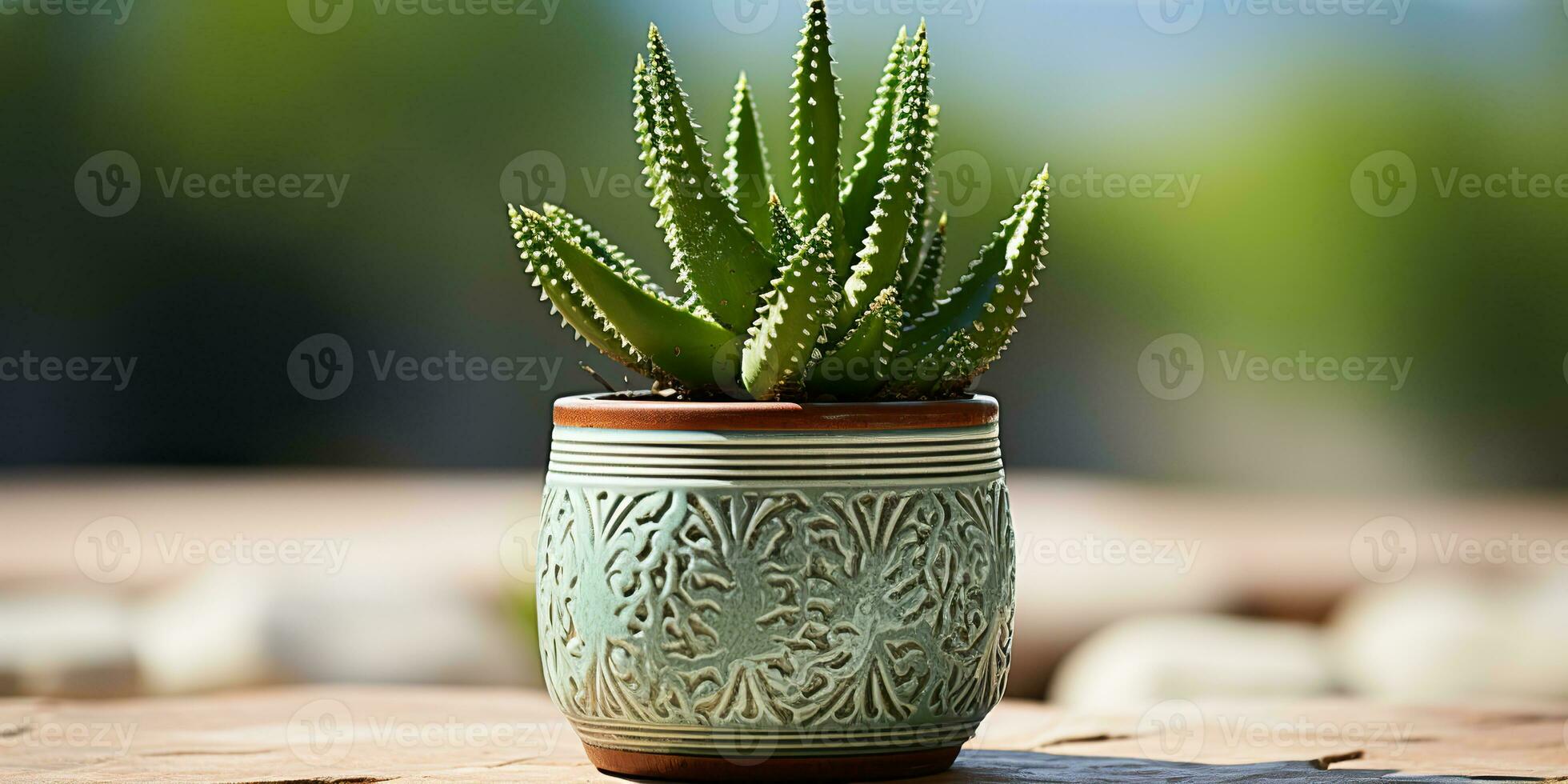 AI Generated. AI Generative. Decorative abstract flower cactus plant botanical on rustic wood table. Decoration cozy home vibe. Graphic Art photo