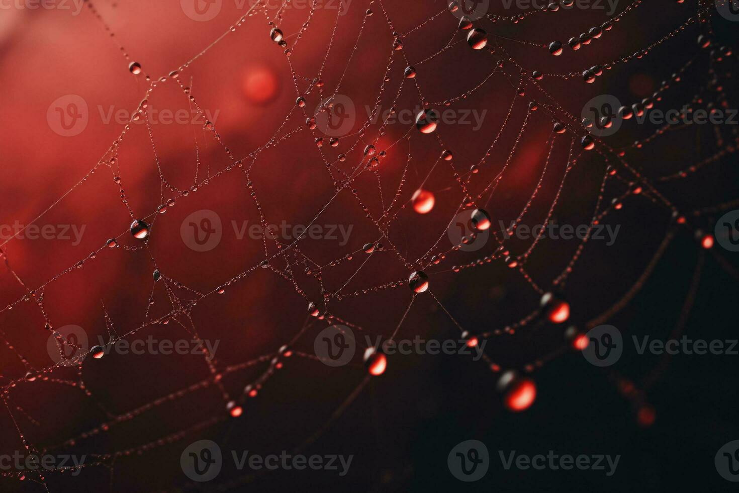The spider web with water drops, close up. AI generated photo