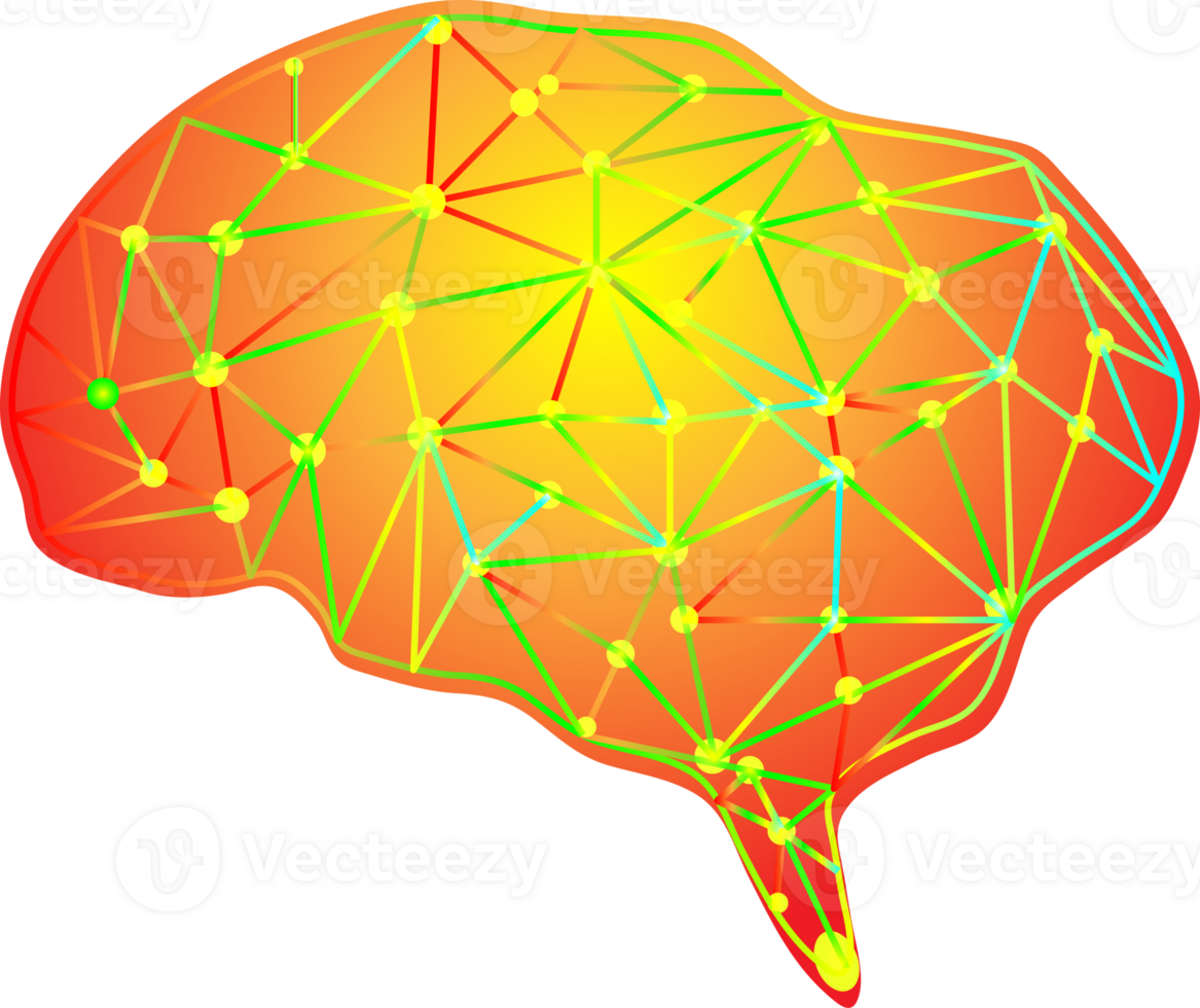 Brain anatomy thinking idea for decoration abstract background png