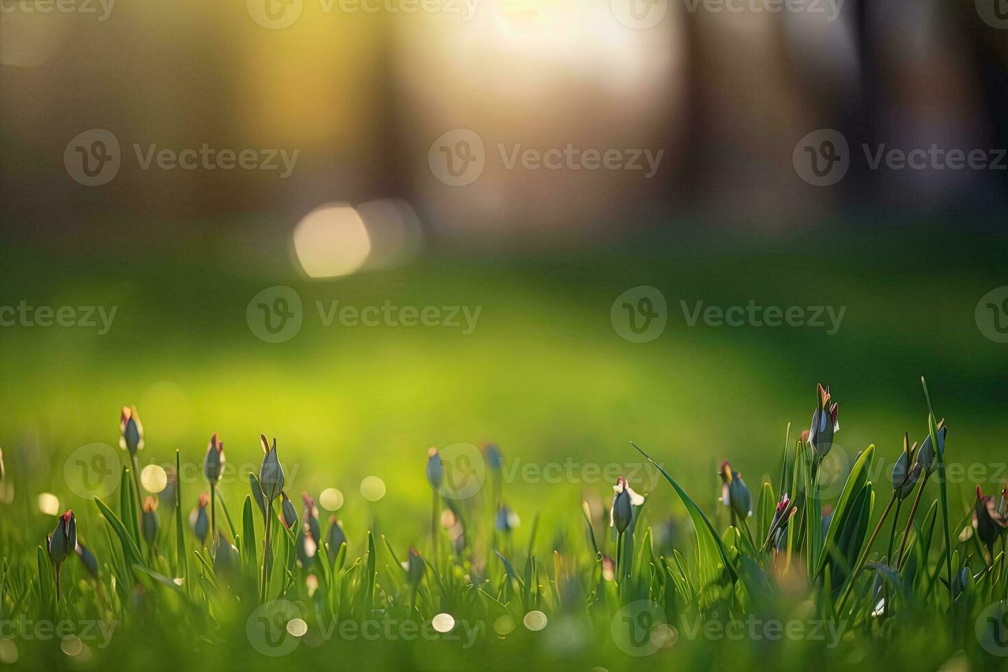 Neatly trimmed lawn on blurred spring background. Ground level view. Generative AI photo