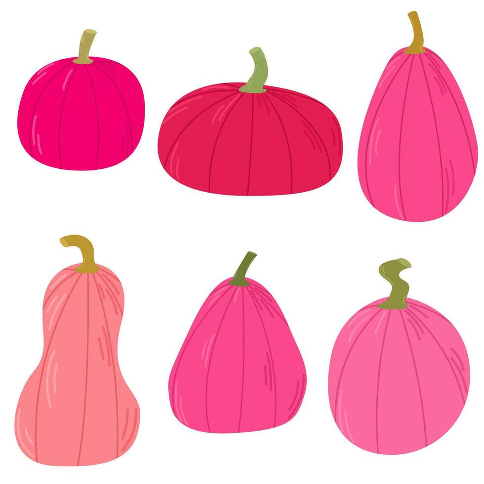 Set of pink pumpkins. Pumpkin of different shapes and colors. Thanksgiving design. Autumn pumpkin vector