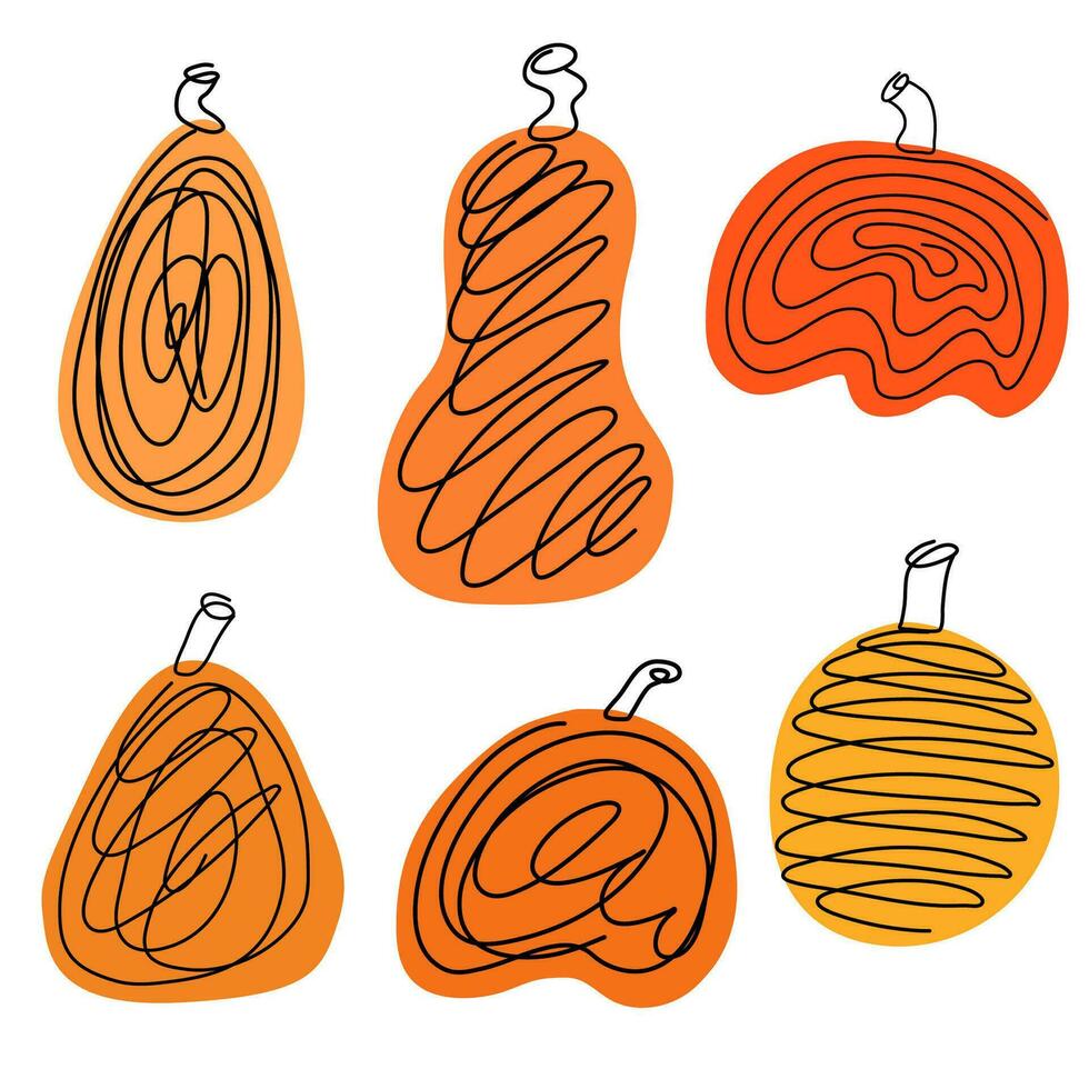 Set of pumpkins. Pumpkin of different shapes and colors. Thanksgiving design. Autumn pumpkin vector