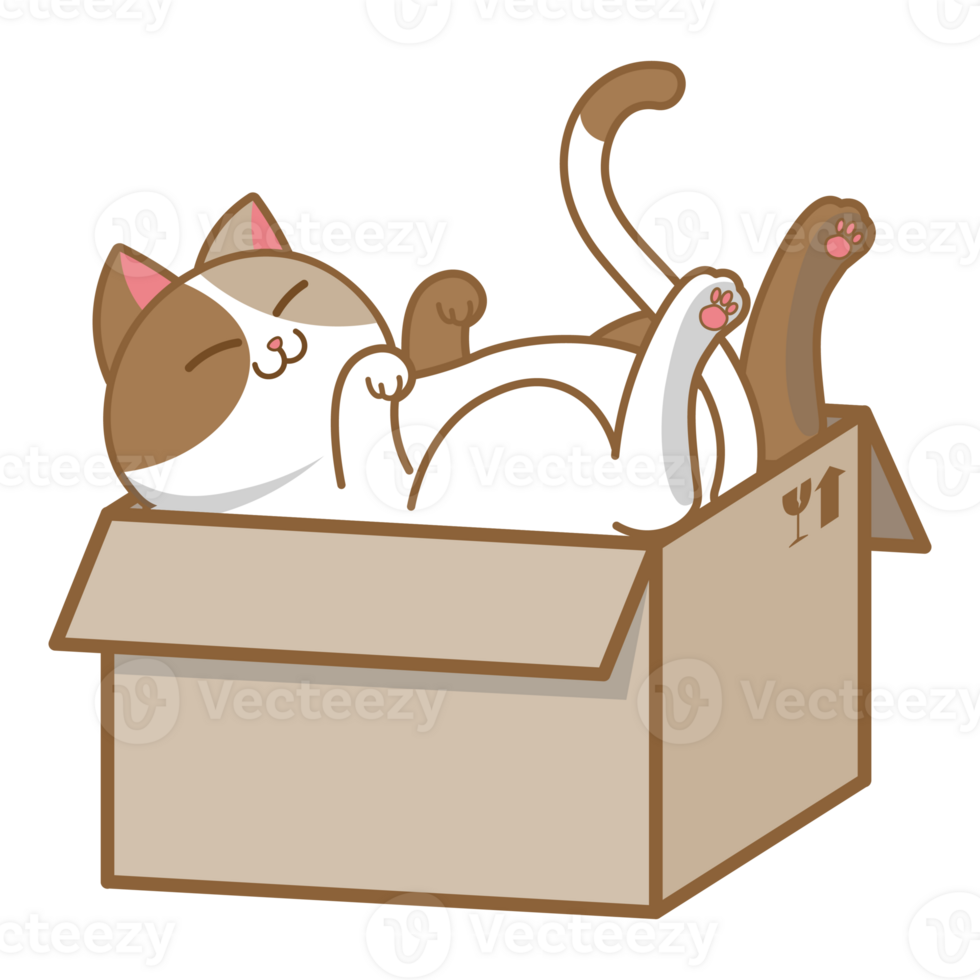 Cartoon chubby cat sleeping in cardbox png