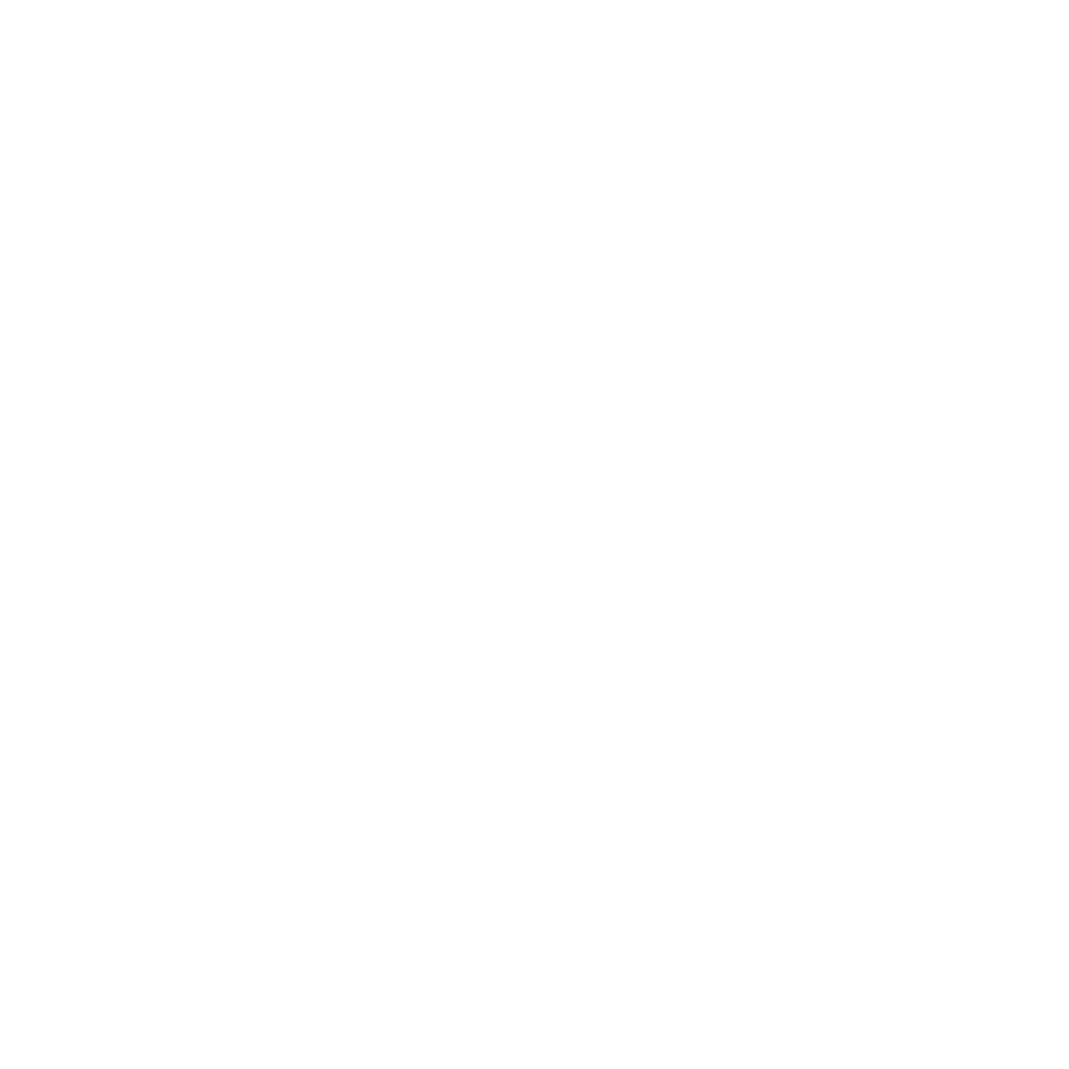 Skull Silhouette - png