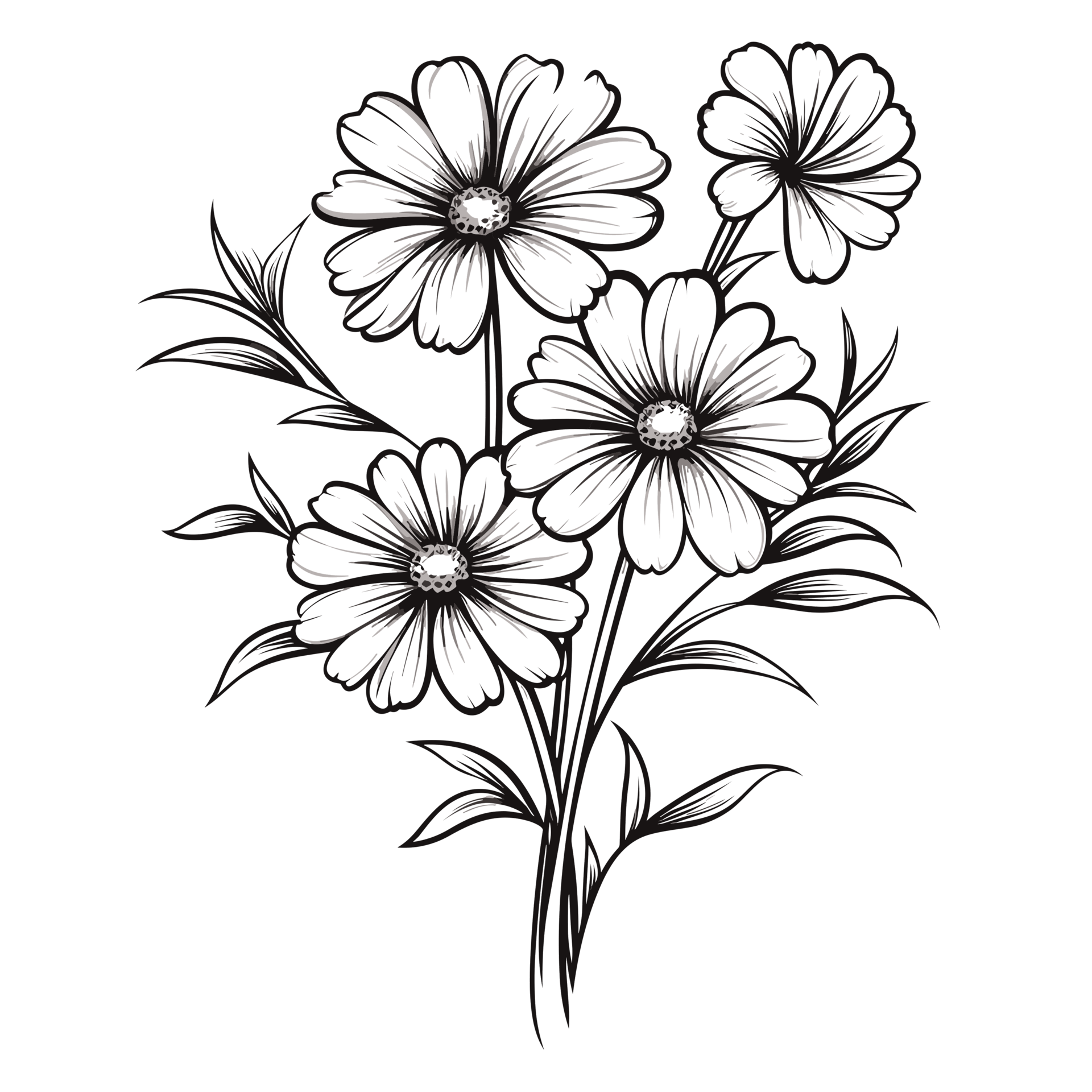 Beautiful Flower Clipart - Generative Ai 26912367 PNG