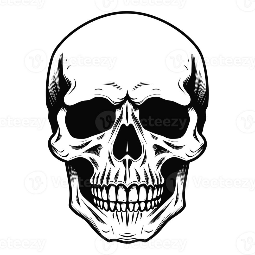 Beautiful Skull Silhouette - Generative Ai png