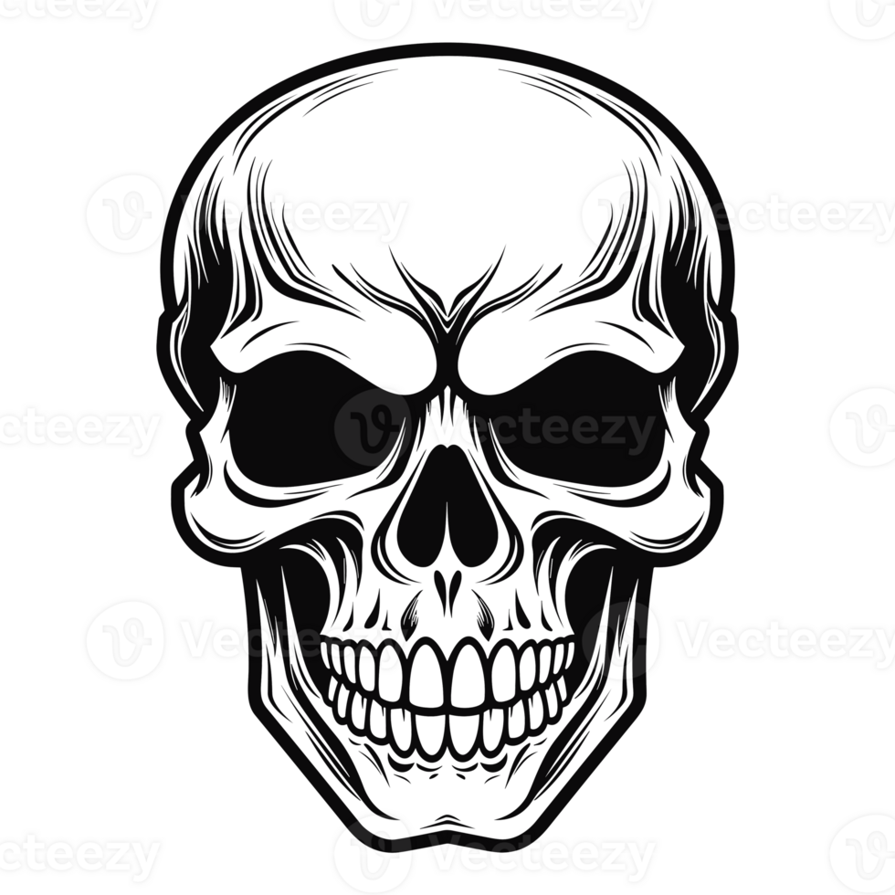 Beautiful Skull Silhouette - Generative Ai png