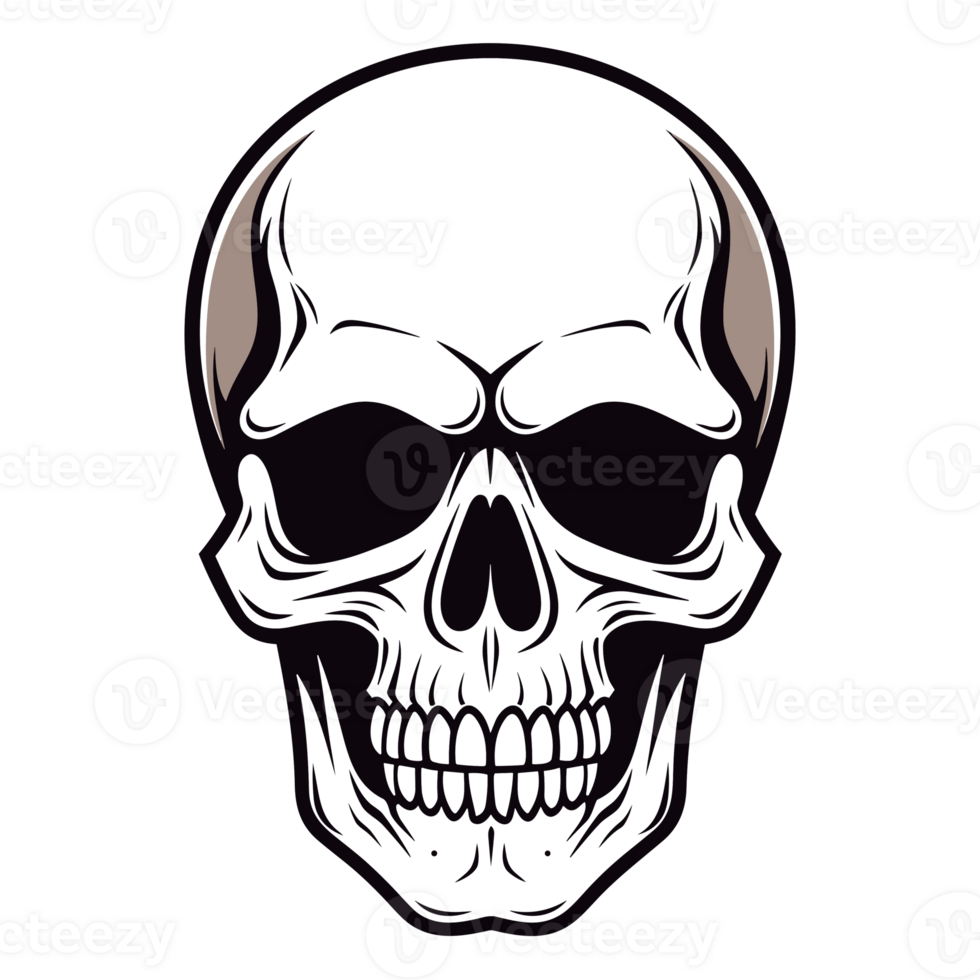 Beautiful Skull Silhouette - Generative Ai png