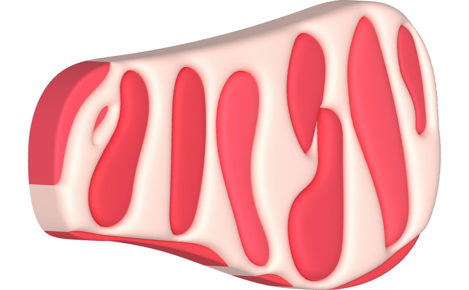 3D illustration. Fresh slices or meat. Marbling of pork or beef tenderloin for steak. png