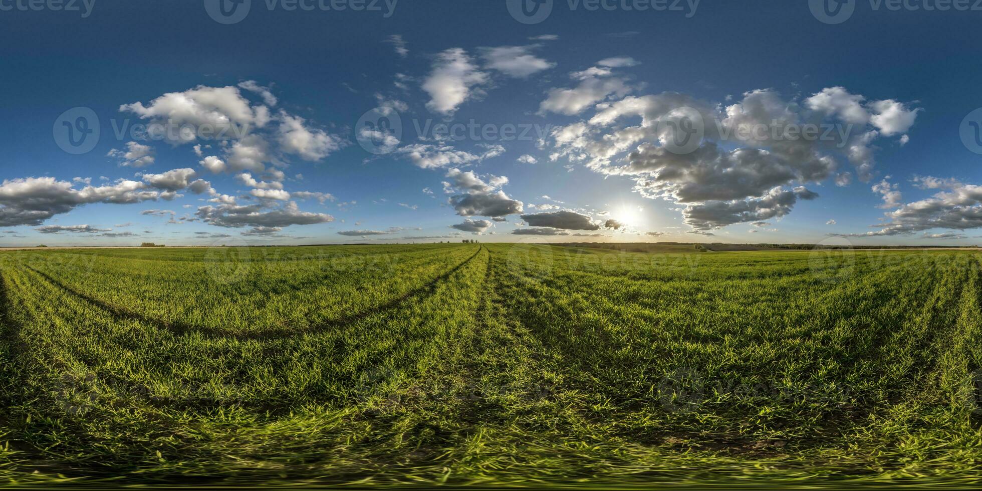 spherical 360 hdri panorama among green grass farming field with clouds on blue evening sun in equirectangular seamless projection, use as sky dome replacement, game development as skybox, VR content photo