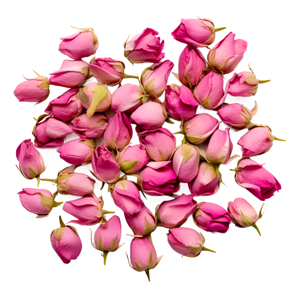 pink pose flowers PNG