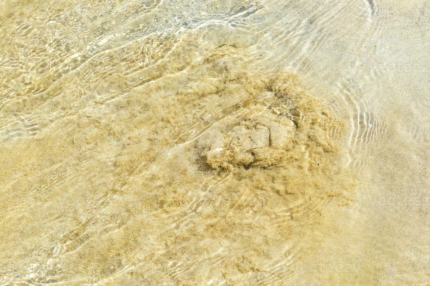 Small mini water waves at beach ocean with sand Mexico. photo