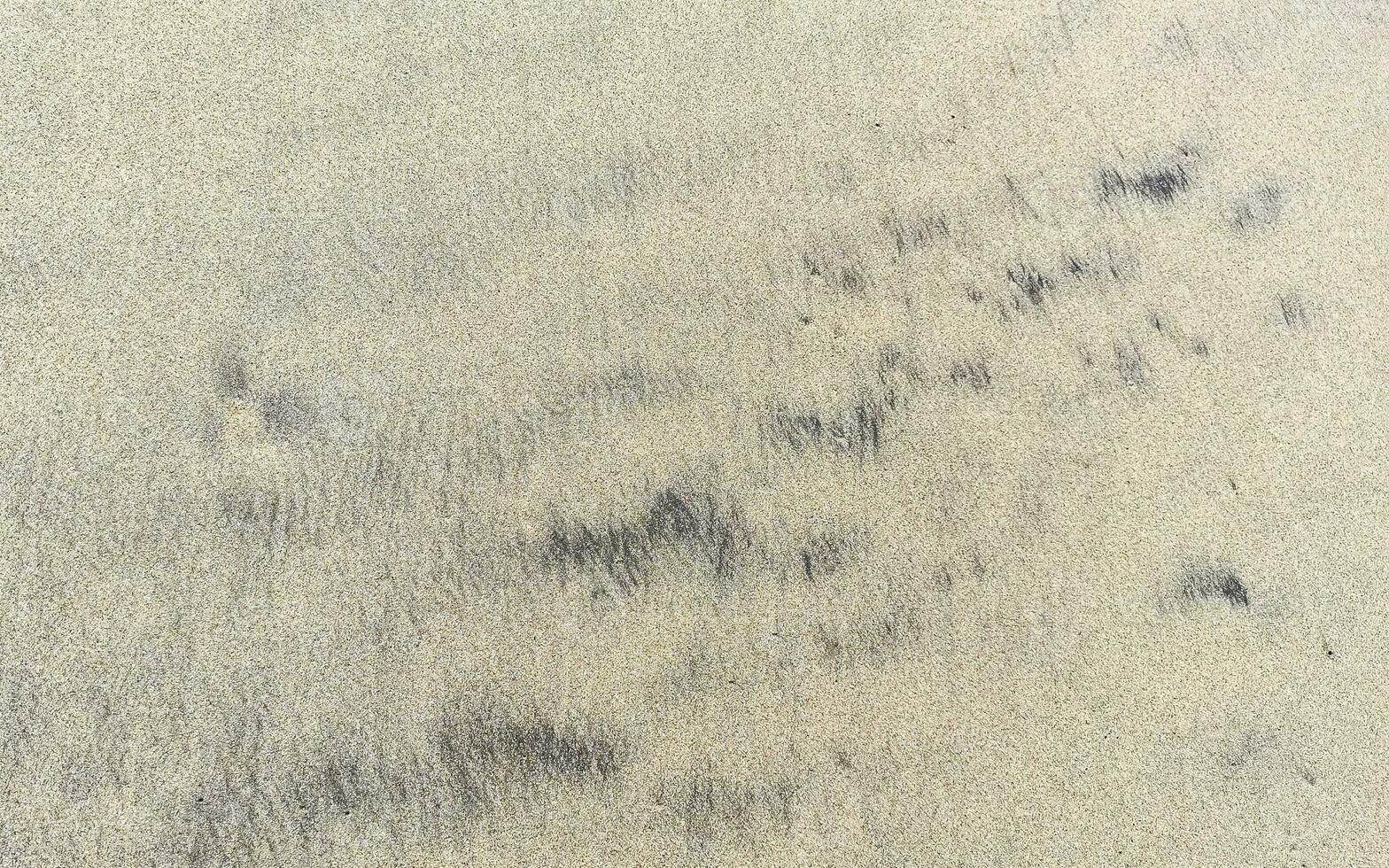 Wet beach sand water and waves texture and pattern in Mexico. photo