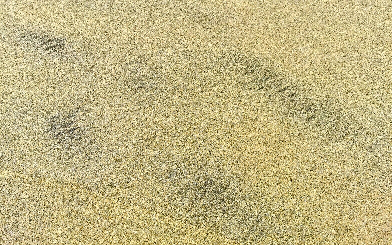 Wet beach sand water and waves texture and pattern in Mexico. photo