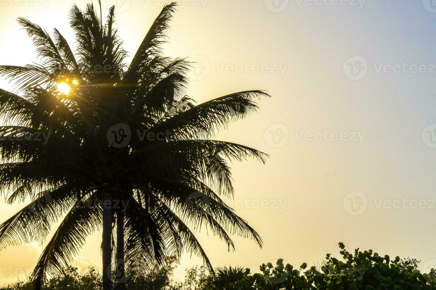 Beautiful colorful sunset with clouds and palm trees in Mexico. photo