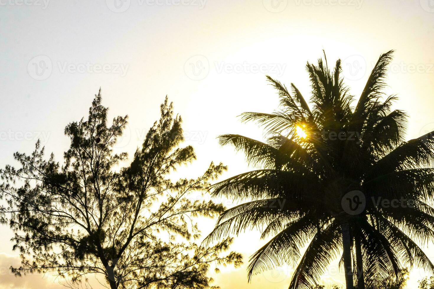 Beautiful colorful sunset with clouds and palm trees in Mexico. photo