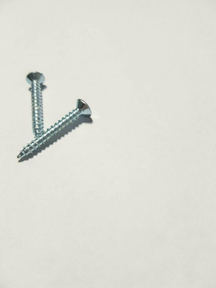 Isolated white photo of two small bolts.