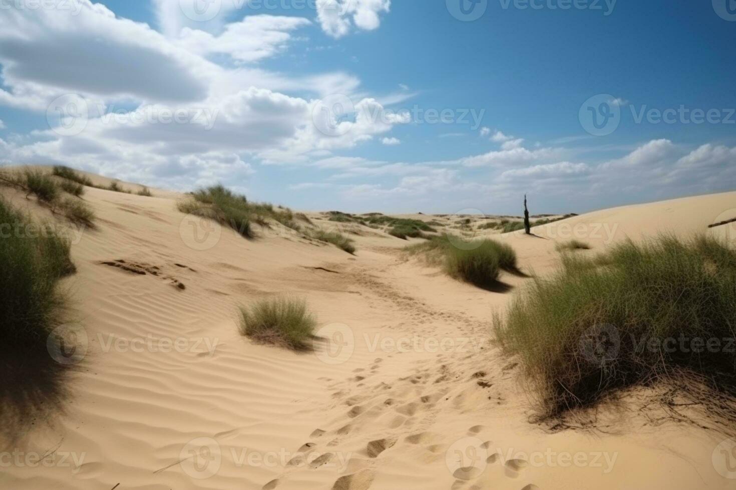 Desert with Dunes. Ai generative photo