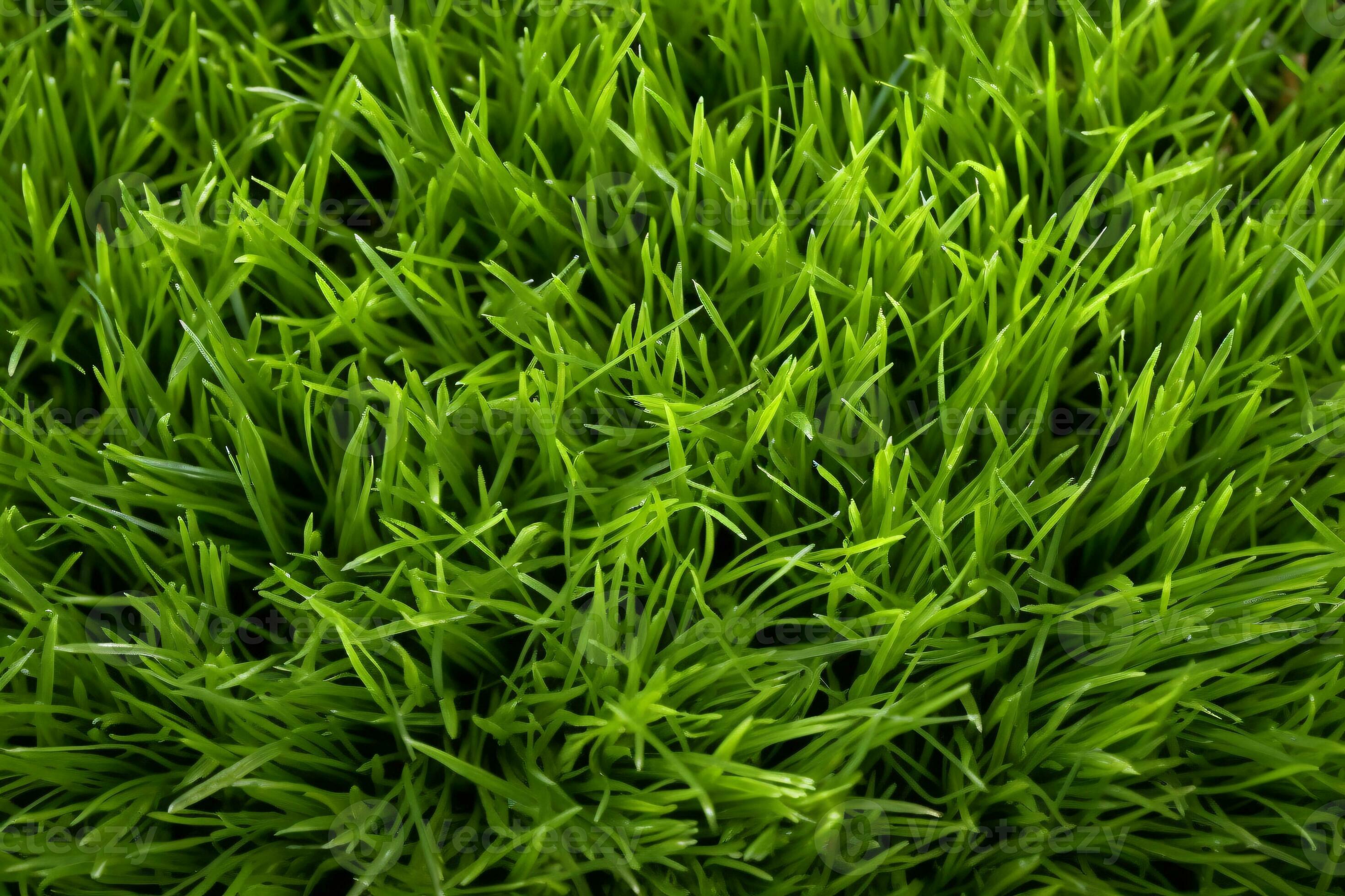 Grass Texture. Ai generative 26950430 Stock Photo at Vecteezy