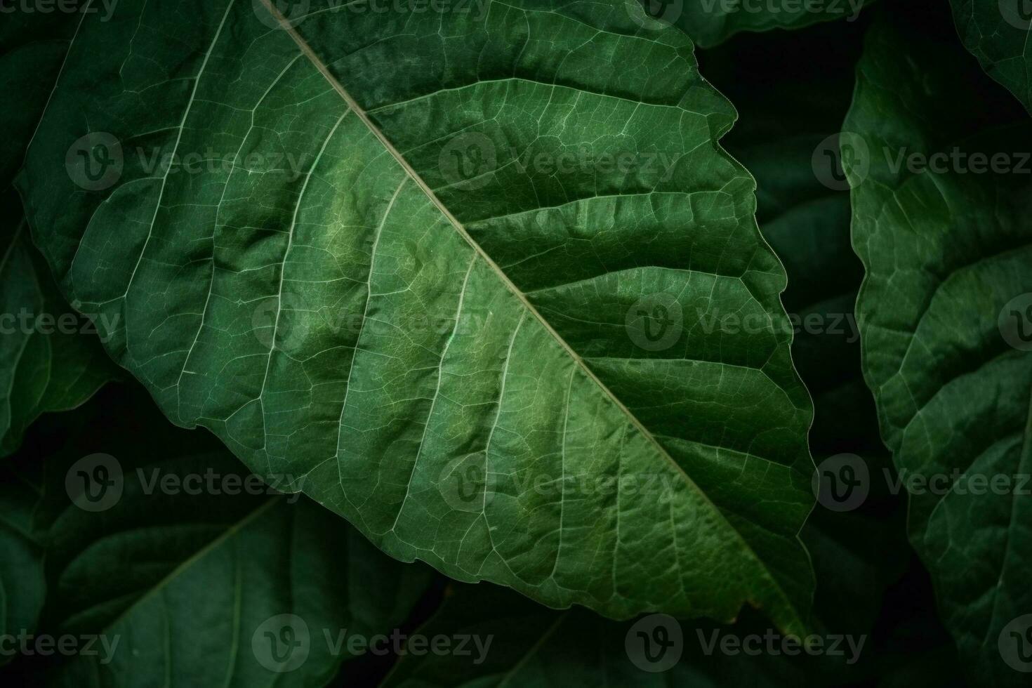 Green Leaves Background. Ai generative photo