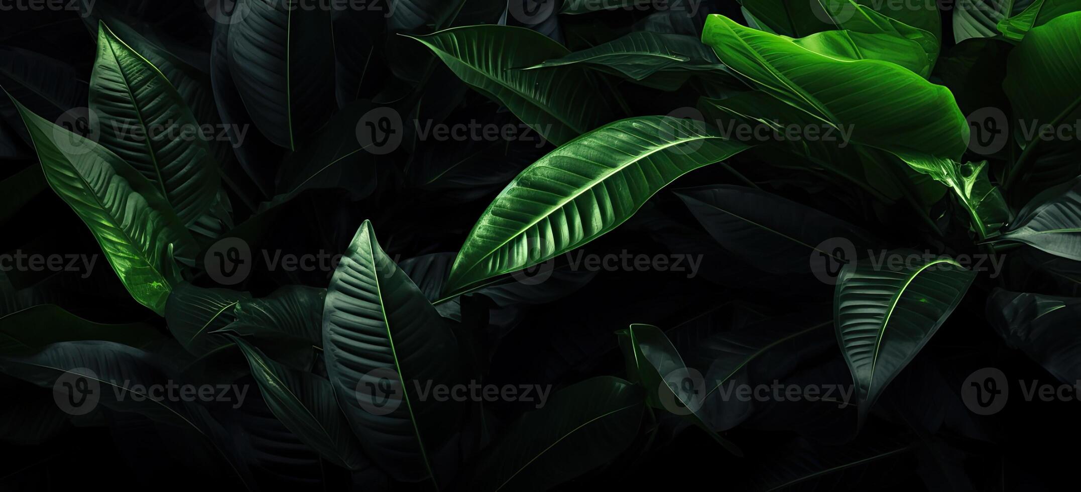 Closeup green leaves background, Overlay fresh leaf pattern, Natural foliage textured and background. Created with Generative AI technology. photo