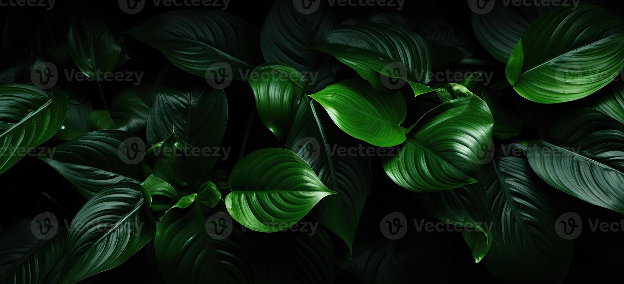 Closeup green leaves background, Overlay fresh leaf pattern, Natural foliage textured and background. Created with Generative AI technology. photo