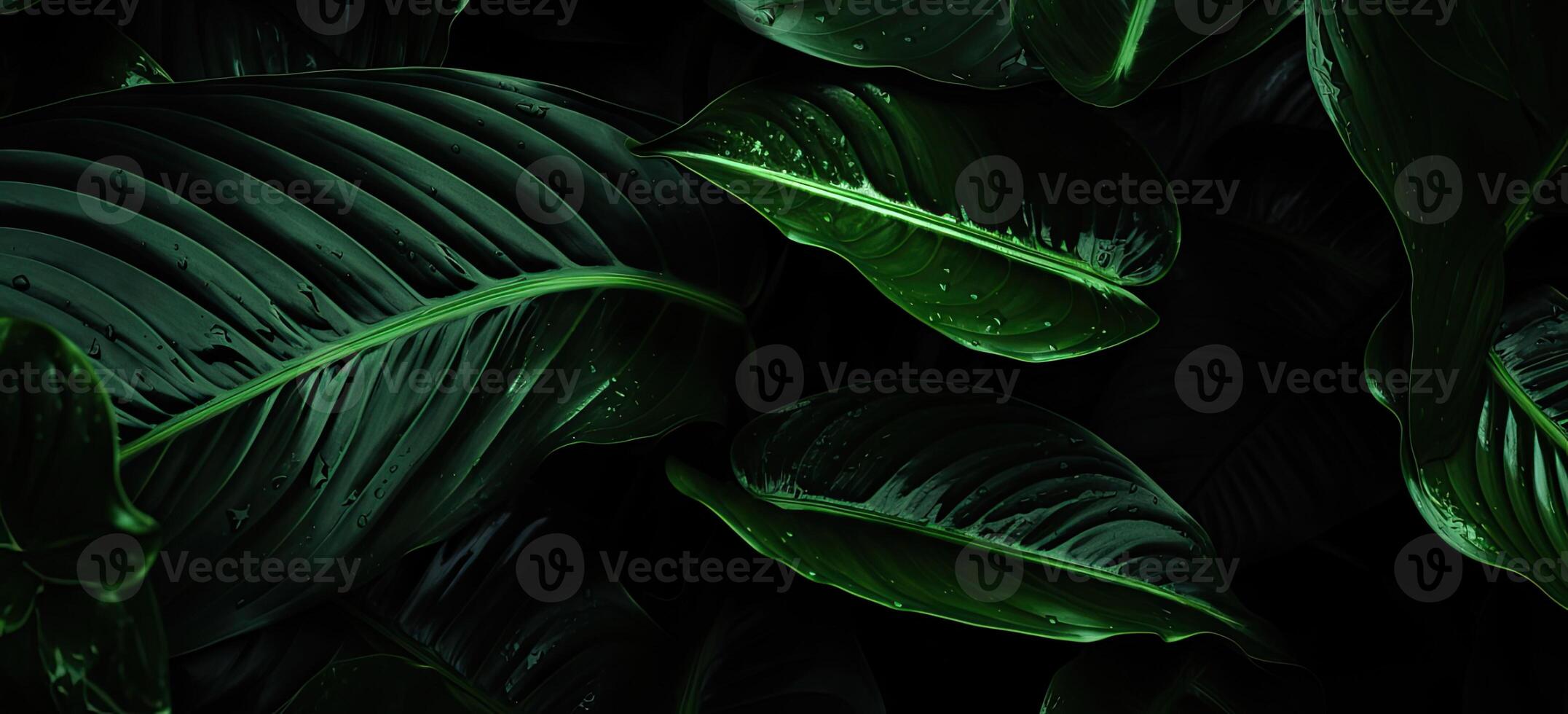 Closeup green leaves background, Overlay fresh leaf pattern, Natural foliage textured and background. Created with Generative AI technology. photo