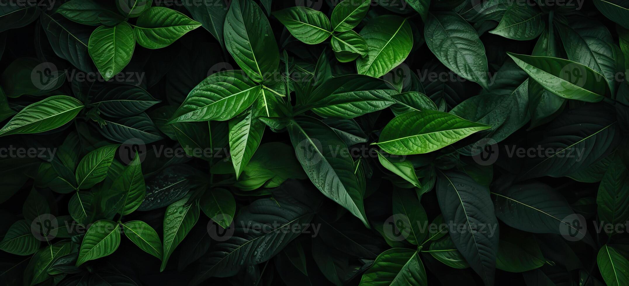 Closeup green leaves background, Overlay fresh leaf pattern, Natural foliage textured and background. Created with Generative AI technology. photo
