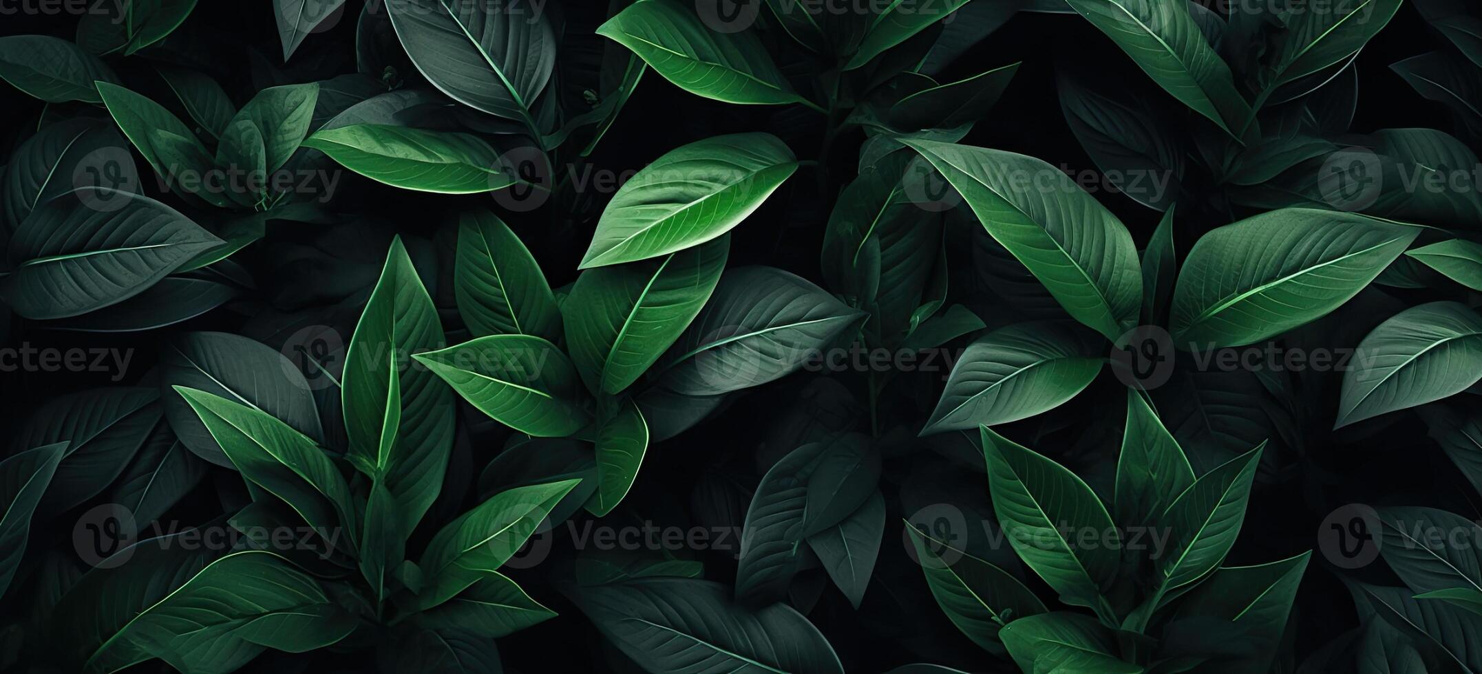 Closeup green leaves background, Overlay fresh leaf pattern, Natural foliage textured and background. Created with Generative AI technology. photo