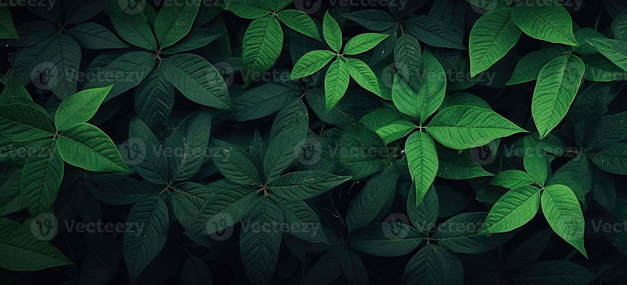 Closeup green leaves background, Overlay fresh leaf pattern, Natural foliage textured and background. Created with Generative AI technology. photo