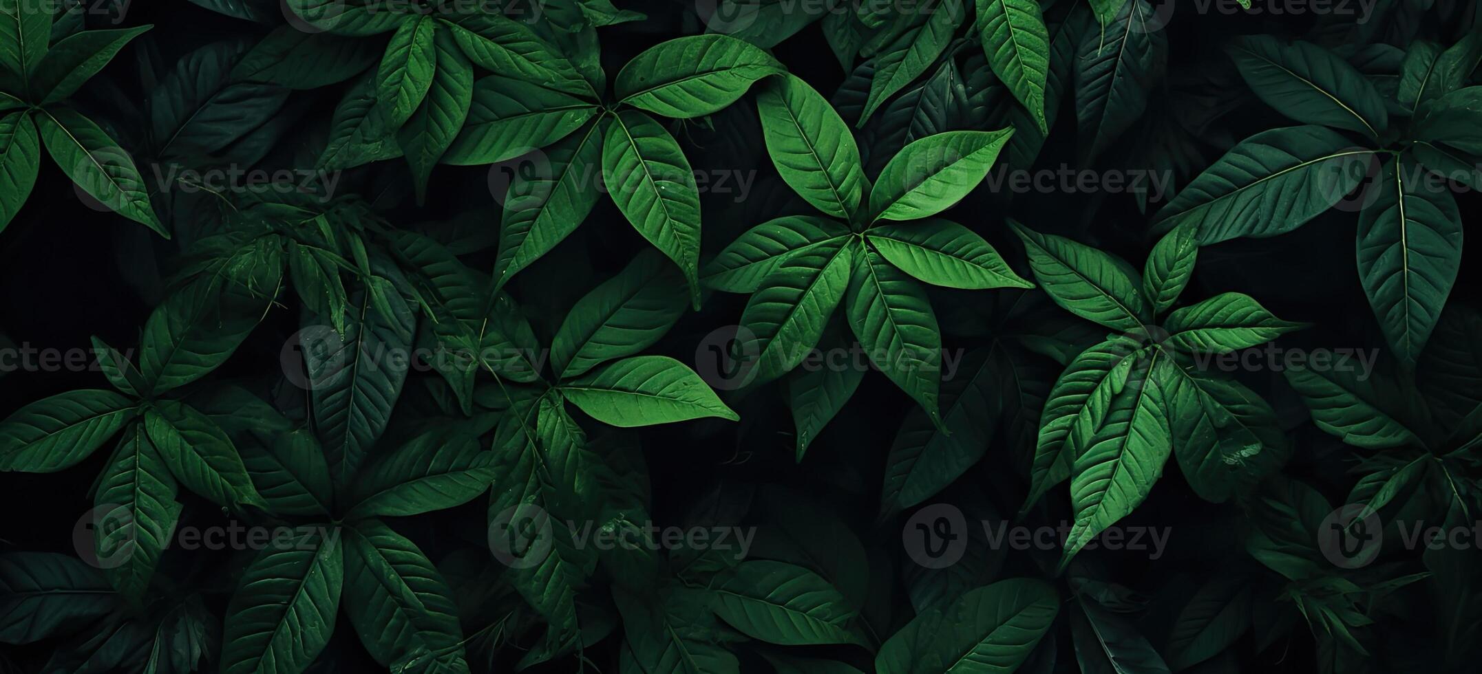 Closeup green leaves background, Overlay fresh leaf pattern, Natural foliage textured and background. Created with Generative AI technology. photo