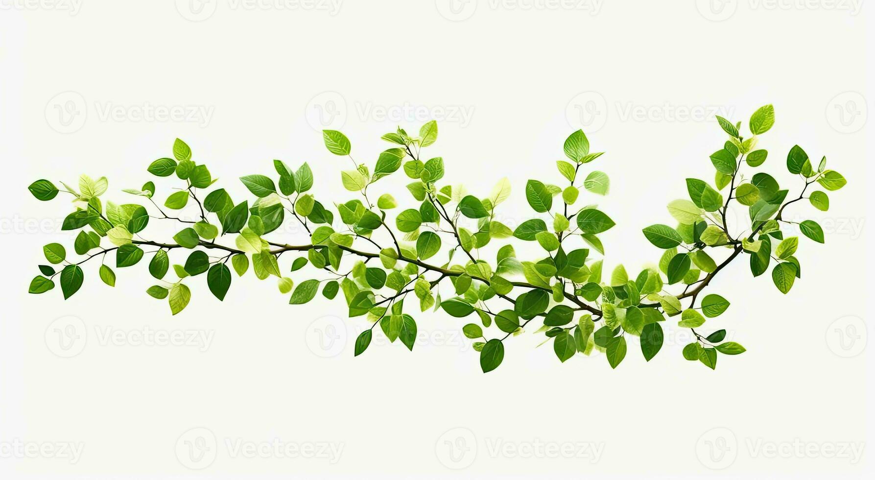 Fresh green leaves branch isolated on white background. Created with Generative AI technology. photo