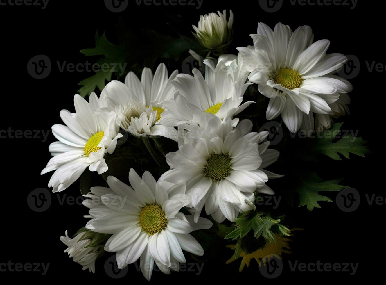 A bunch of white daisy flowers on rustic chalkboard table surface, with blur copy space background. Created with Generative AI technology. photo