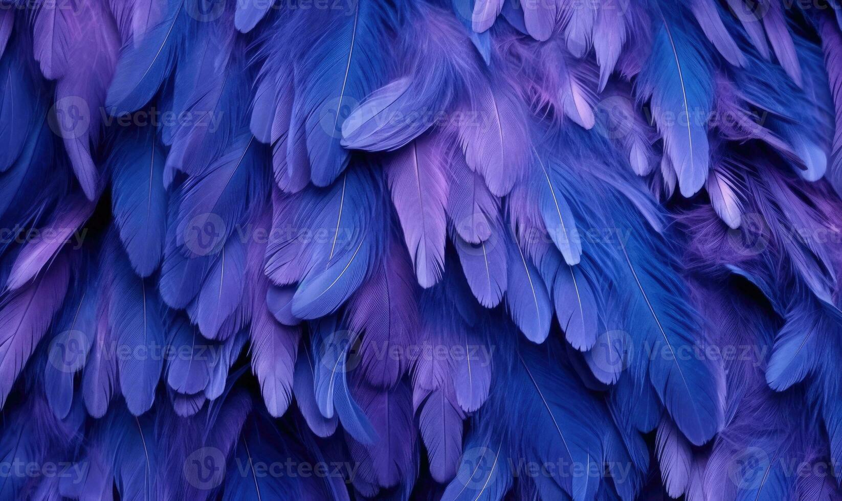 Feathers soft background. Purple bird feathers. For banner, postcard, illustration. Created with generative AI tools photo