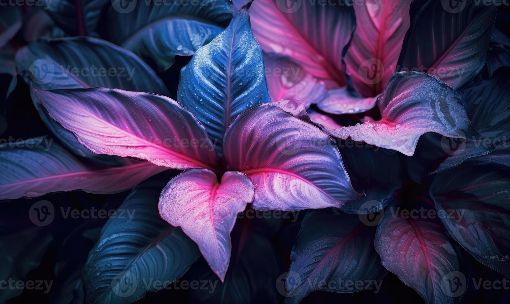 Tropical leaves in neon pink light wallpaper. Exotic foliage background. Natural textured. Created with generative AI tools photo