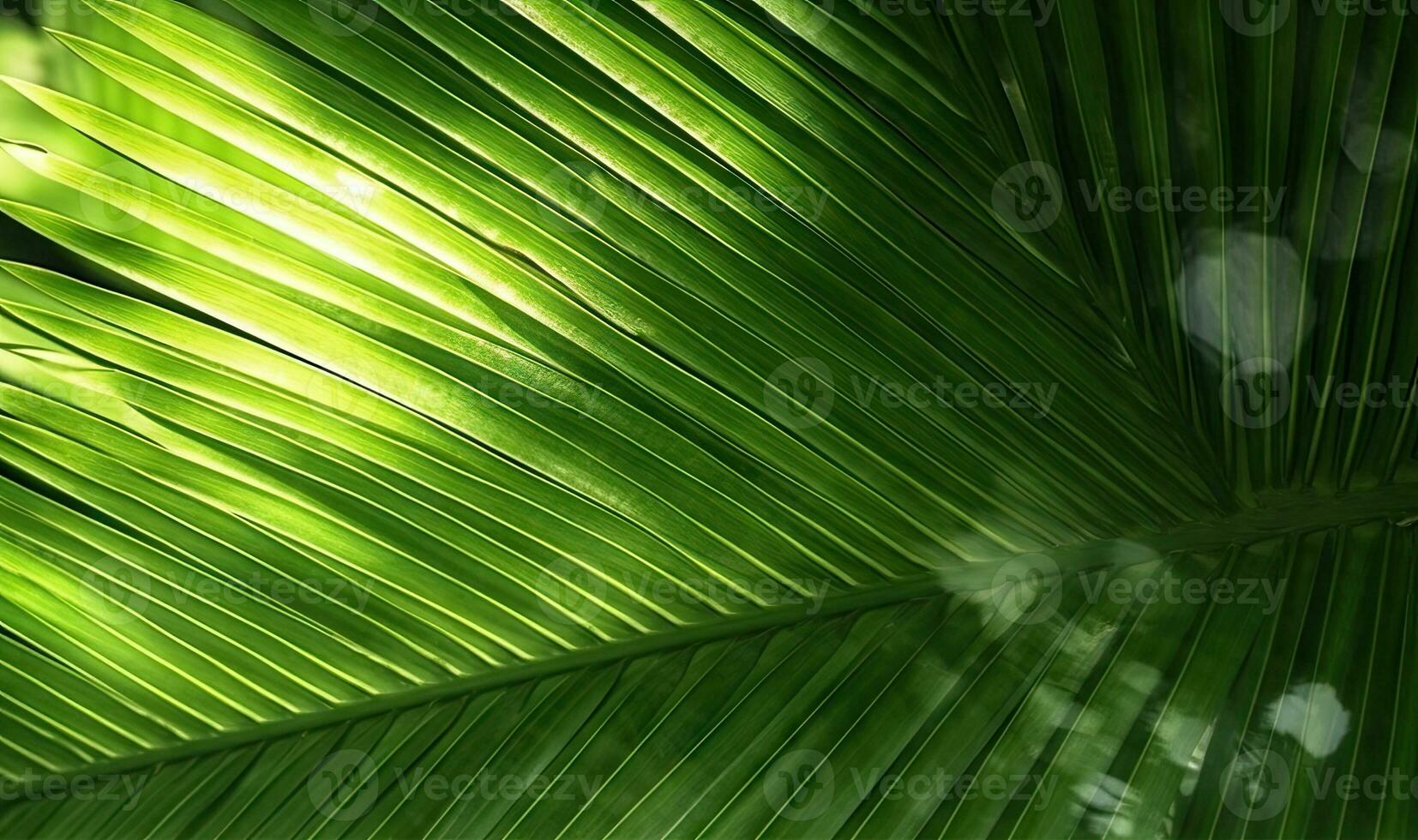 Palm leaf wallpaper. Tropical leaves background. For banner, postcard, book illustration. Created with generative AI tools photo