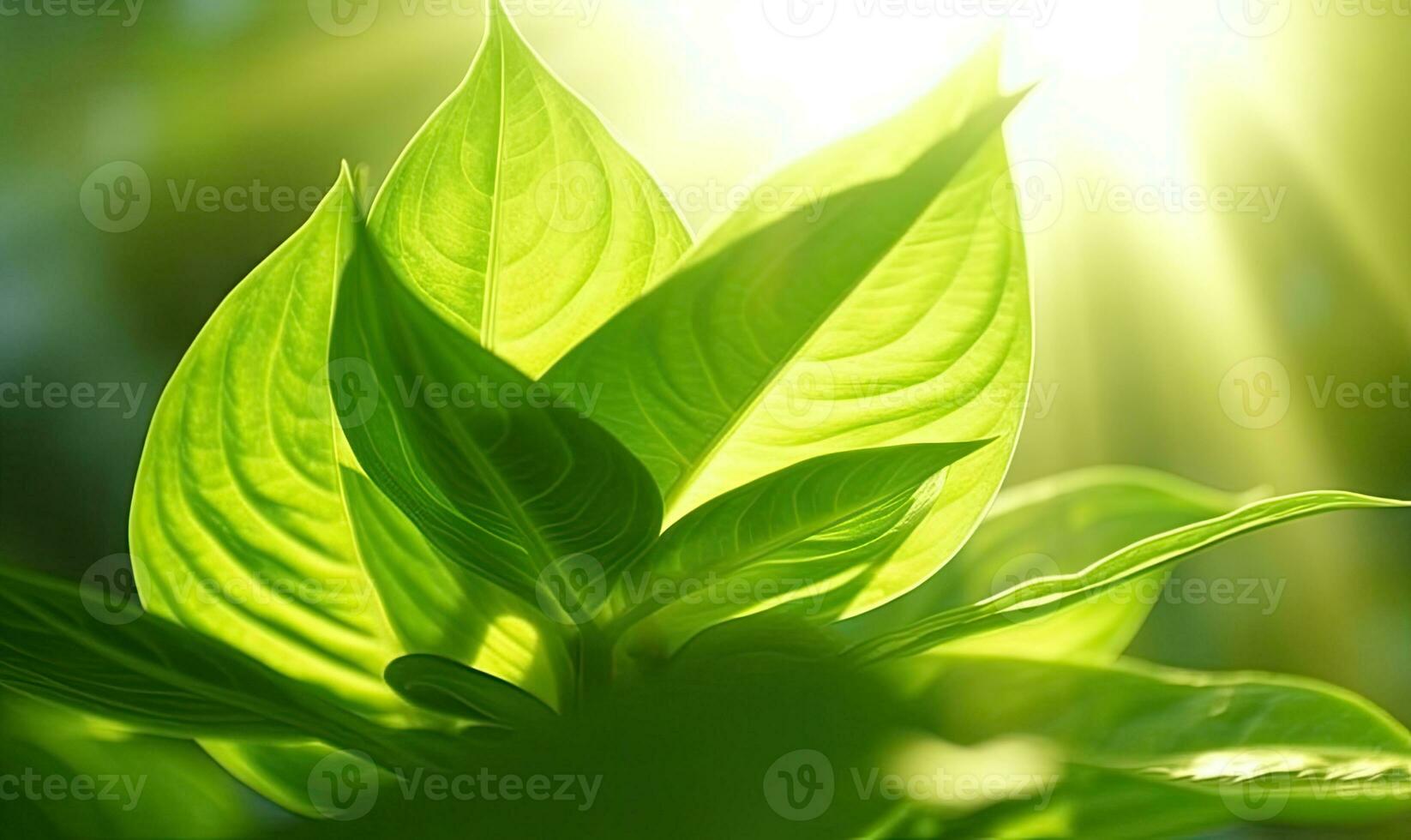 Green leaf wallpaper. Foliage background. Natural textured. For banner, postcard, book illustration. Created with generative AI tools photo