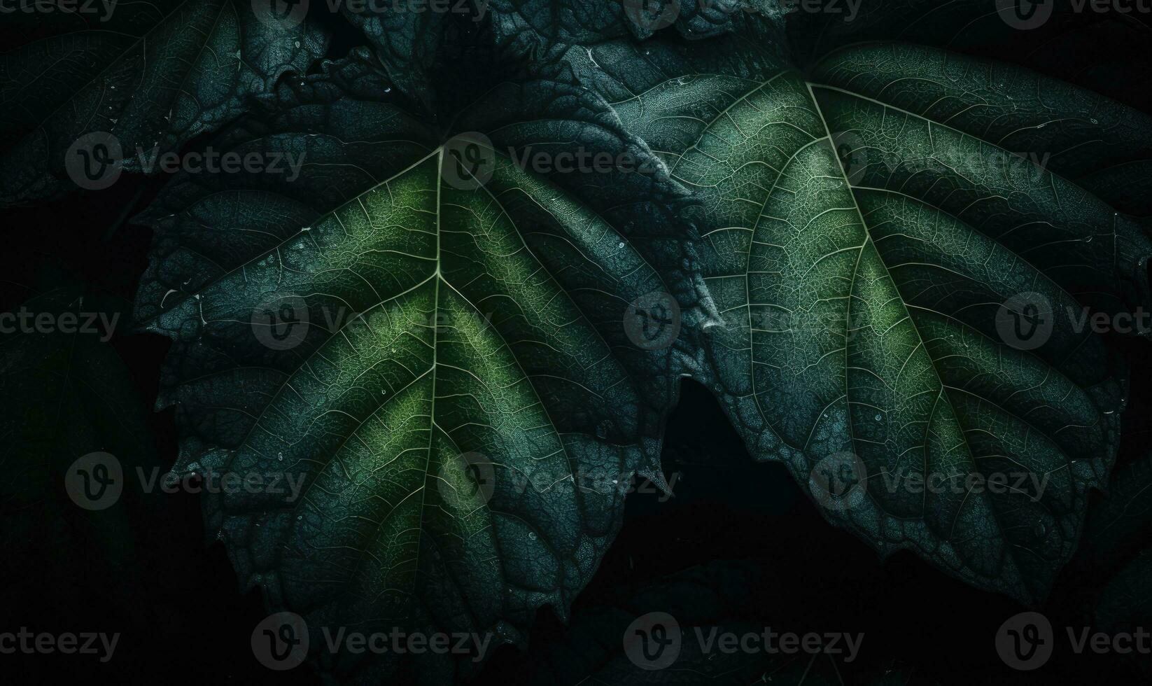 Leaves textured wallpaper. Creative abstract surface banner. For postcard, book illustration. Created with generative AI tools photo