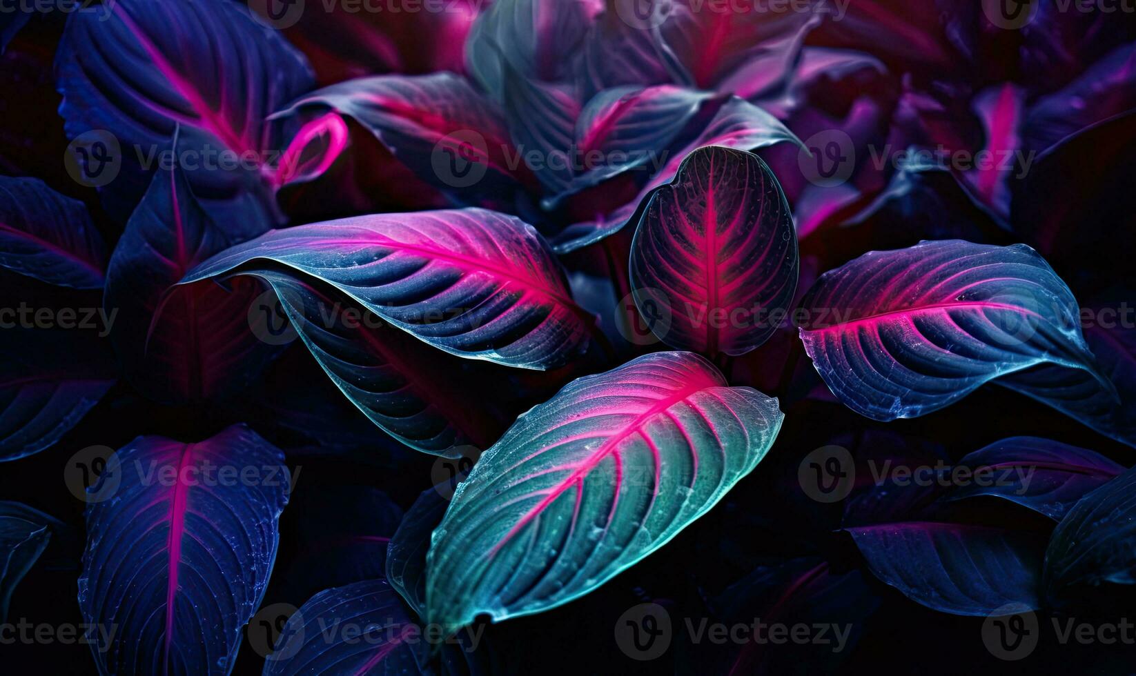 Tropical leaves in neon pink light wallpaper. Exotic foliage background. Natural textured. For postcard, book illustration. Created with generative AI tools photo