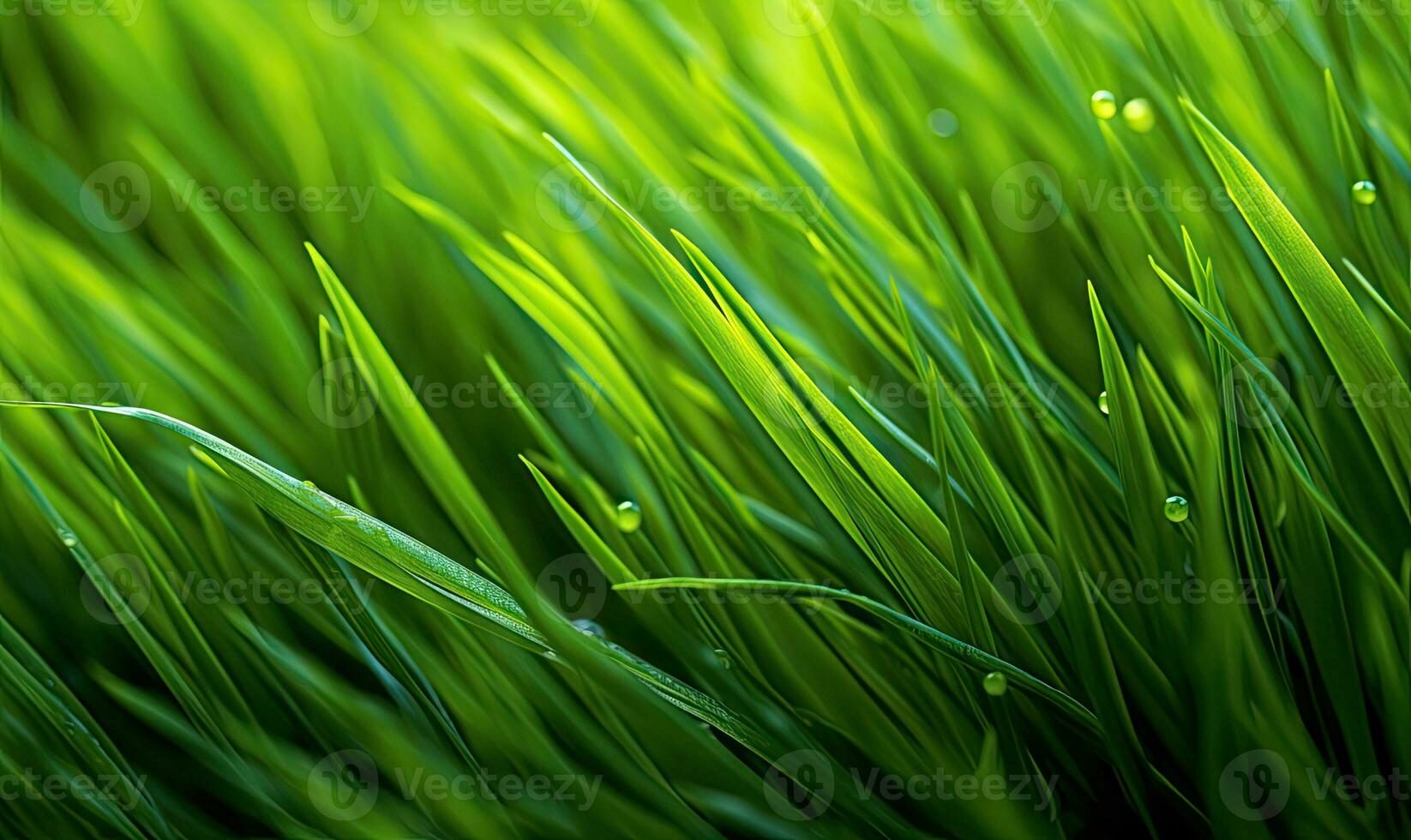 Fresh lush green grass on meadow with drops of water dew. Close-up macro. Generative AI tools photo